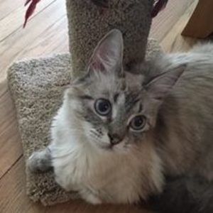 Meet your Posher, Tammy